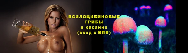 молекула духа Аркадак