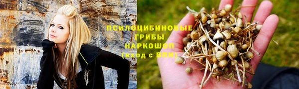 молекула духа Аркадак