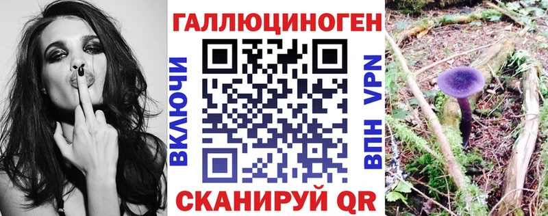 площадка клад  Трёхгорный  Псилоцибиновые грибы Cubensis 